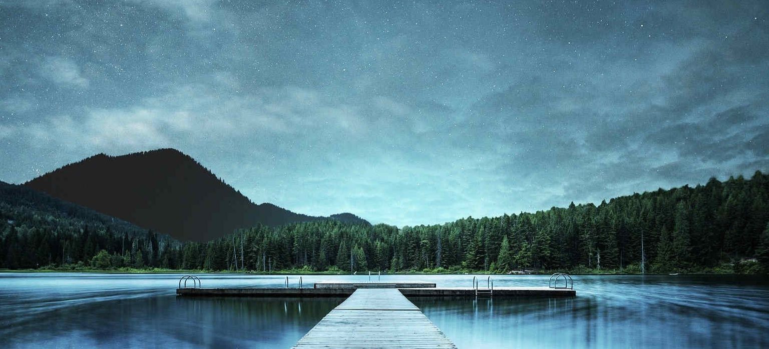 پروفسور رضا عمرائی